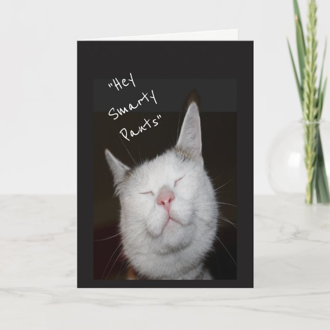 Tarjeta Felicitaciones Nuevo Humor Hogar Kitten Animal (Anverso)