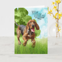 Felicitaciones perro sabueso reBARKable