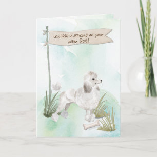 Tarjeta Felicitaciones por el caniche blanco a un nuevo pe