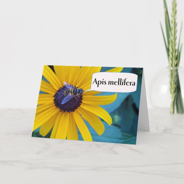 Tarjeta Felicitaciones por ganar la abeja de deletreo (Anverso)