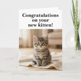 Tarjeta Felicitaciones por gatito nuevo Sentimental dulce