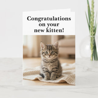 Tarjeta Felicitaciones por gatito nuevo Sentimental dulce