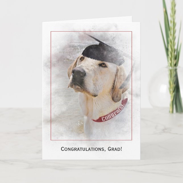 Tarjeta felicitaciones por graduación Labrador Retriever (Anverso)