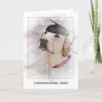 felicitaciones por graduación Labrador Retriever