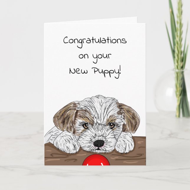 Tarjeta ¡Felicitaciones por la nueva pipa! (Anverso)