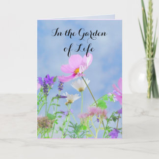 Tarjeta Felicitaciones por tu divorcio