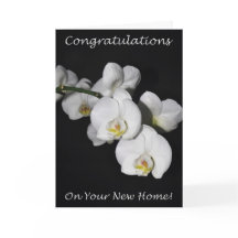 ¡Felicitaciones Por Tu Nueva Orquídea Doméstica!