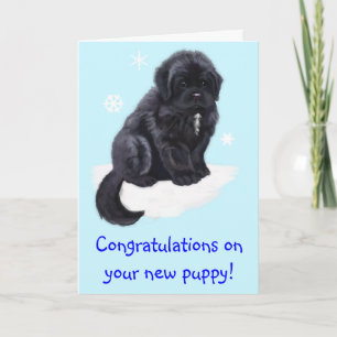 Tarjeta Felicitaciones por tu nuevo regalo