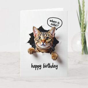 Tarjeta Felina de Cumpleaños Juguetona