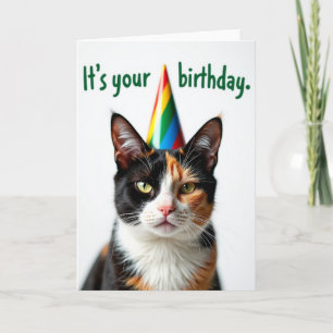 Tarjeta Felina de Sombrero de Rayas