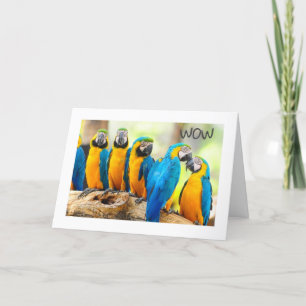 TARJETA FELIZ **16º** CUMPLEAÑOS