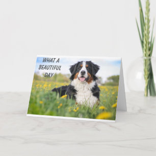 Tarjeta ¡FELIZ **16º** CUMPLEAÑOS DIGAN PERRO FELIZ! Tarje