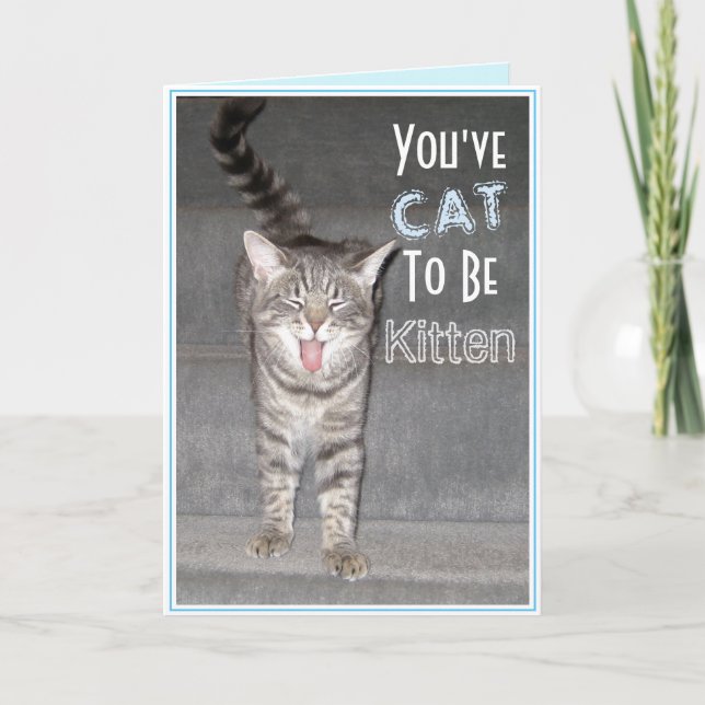 Tarjeta Feliz 40.º Gato Gracioso (Anverso)