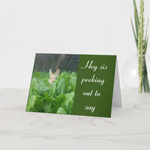 TARJETA FELIZ **70º* CUMPLEAÑOS ***CARTA SISTEMA****