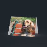 Tarjeta Feliz 70.º cumpleaños Cocker Spaniel Greeting Card<br><div class="desc">Feliz 70.º cumpleaños Cocker Spaniel Greeting Card</div>