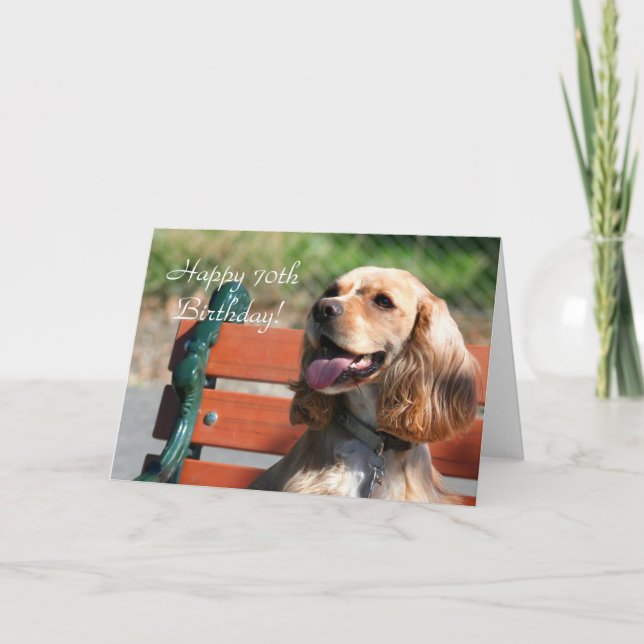 Tarjeta Feliz 70.º cumpleaños Cocker Spaniel Greeting Card (Anverso)