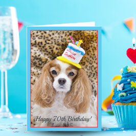 Tarjeta Feliz 70 cumpleaños Cavalier King Charles