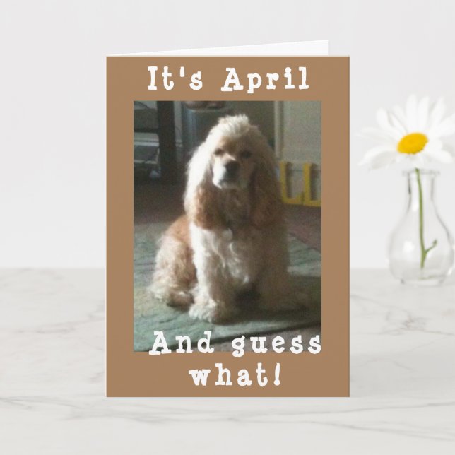 TARJETA FELIZ *ABRIL* CUMPLEAÑOS DE CUTE COCKER SPANIEL (Planta pequeña)