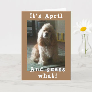 TARJETA FELIZ *ABRIL* CUMPLEAÑOS DE CUTE COCKER SPANIEL