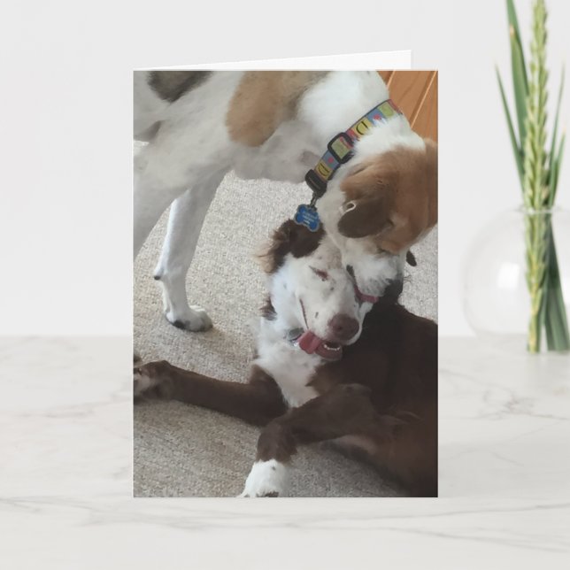 Tarjeta Feliz aniversario, perros cariñosos. (Anverso)