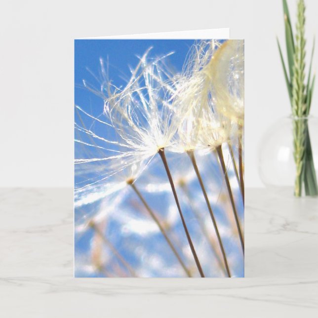 Tarjeta Feliz, bailando Dandelion Poof, poesía de la natur (Anverso)
