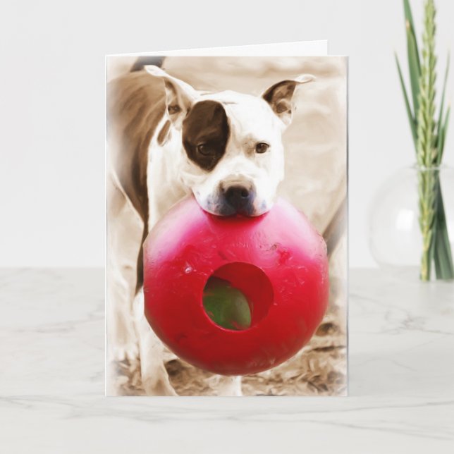 Tarjeta Feliz cumpleaños (Anverso)