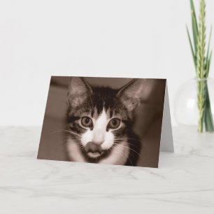 Tarjeta ¡Feliz cumpleaños!