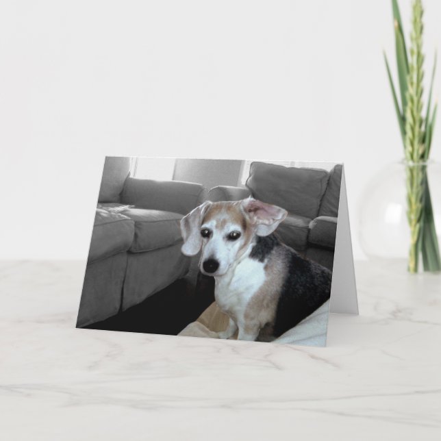 TARJETA FELIZ CUMPLEAÑOS (Anverso)