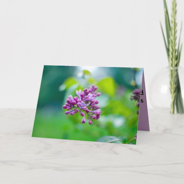 Tarjeta ¡Feliz cumpleaños! (Anverso)