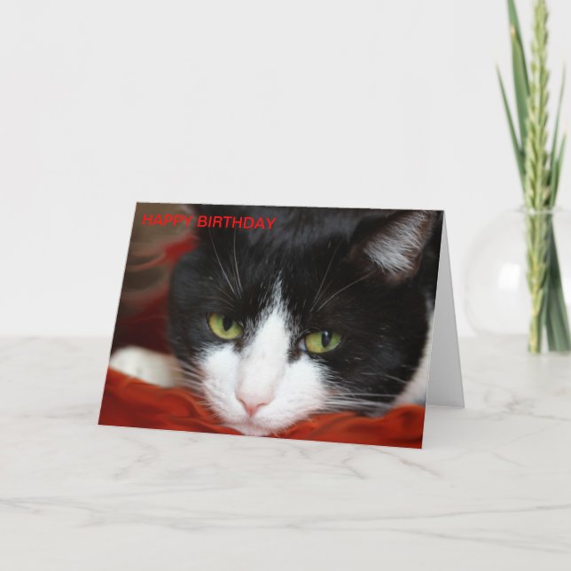 TARJETA FELIZ CUMPLEAÑOS (Anverso)