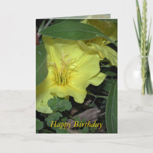 Tarjeta Feliz cumpleaños