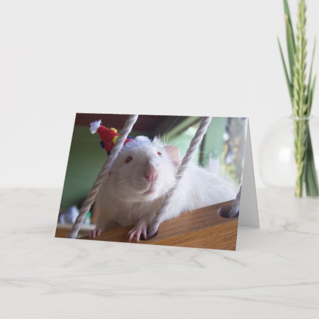 Tarjeta Feliz cumpleaños (Anverso)