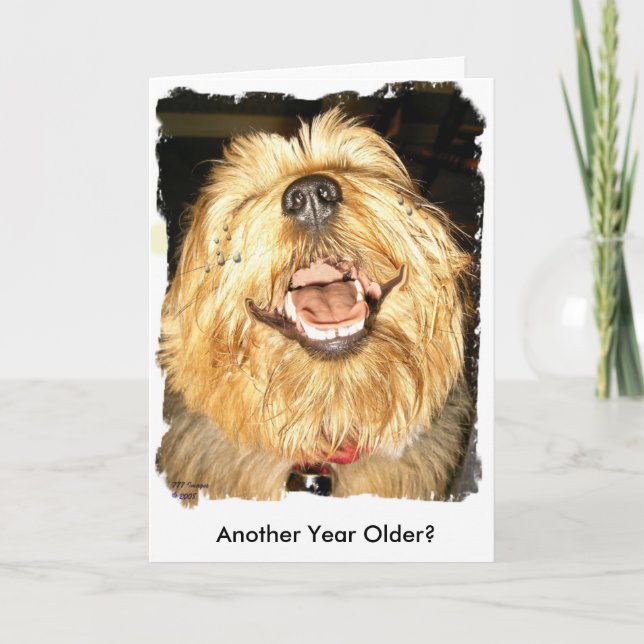 Tarjeta Feliz cumpleaños (Anverso)