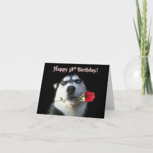 Tarjeta Feliz cumpleaños 38 con un perro chiflado