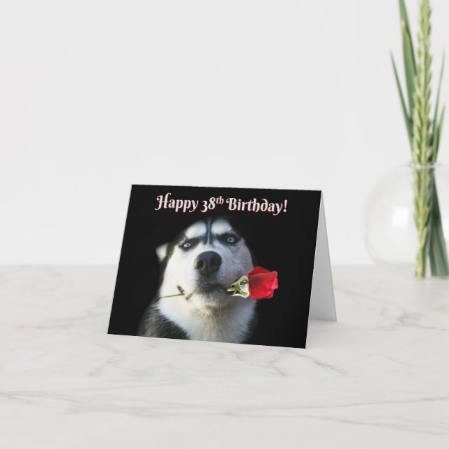 Tarjeta Feliz cumpleaños 38 con un perro chiflado (Anverso)