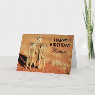 Tarjeta Feliz Cumpleaños   3 Suricatas