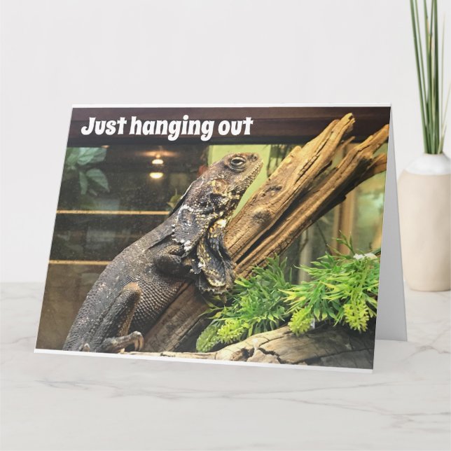 TARJETA FELIZ CUMPLEAÑOS 50 A MI "VIEJO HIBLING" (Anverso)