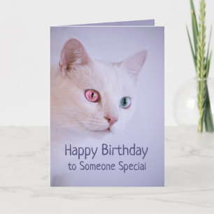 Tarjeta Feliz cumpleaños a alguien especial para mi gato