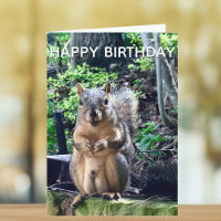 Feliz cumpleaños a Deez Nuts, divertida foto de ar