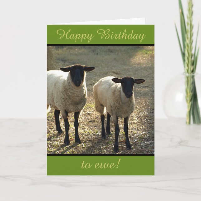 Tarjeta ¡Feliz cumpleaños a Ewe from the Flock! ¡Personali (Anverso)