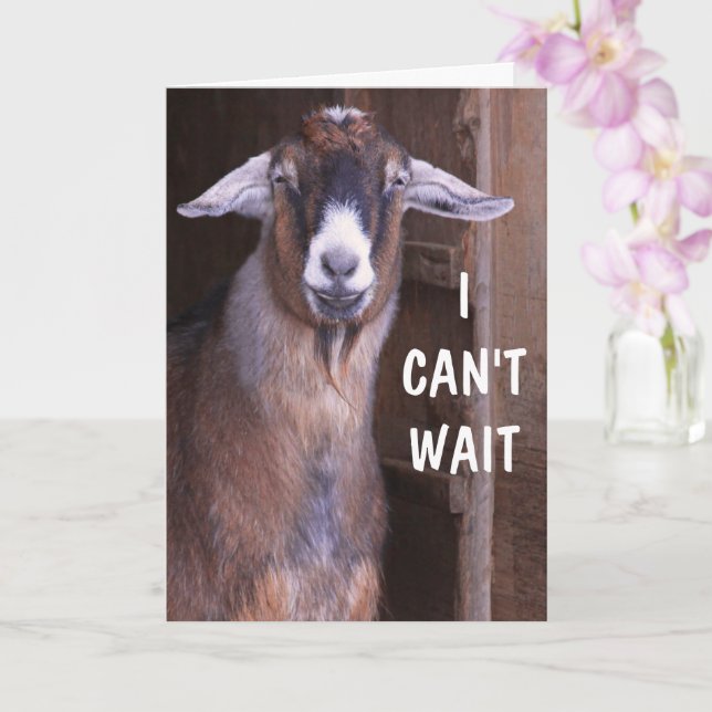 Tarjeta Feliz cumpleaños a la cabra emocionada (Orquídea)