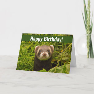 Tarjeta Feliz cumpleaños a la hierba dulce marrón en la hi