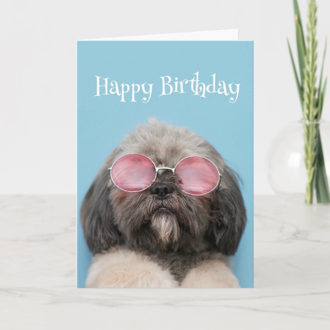 Tarjeta Feliz cumpleaños a la perra divertida de LEGEND (Anverso)