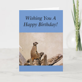 Tarjeta ¡Feliz cumpleaños a Meerkats!