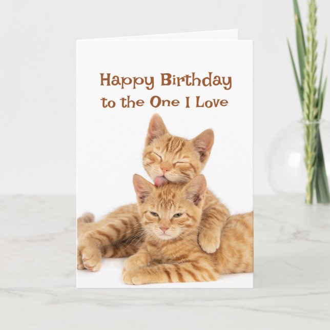 Tarjeta Feliz cumpleaños a quien amo los gatos Naranjas bo (Anverso)