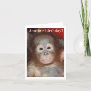 Tarjeta Feliz cumpleaños a todo alrededor