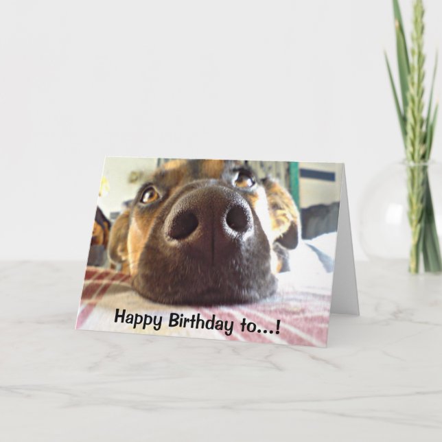 Tarjeta Feliz cumpleaños a un perro adorado con un solo IL (Anverso)
