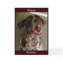 Feliz cumpleaños a un perro feliz