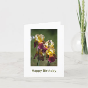 Tarjeta Feliz cumpleaños a una bella dama