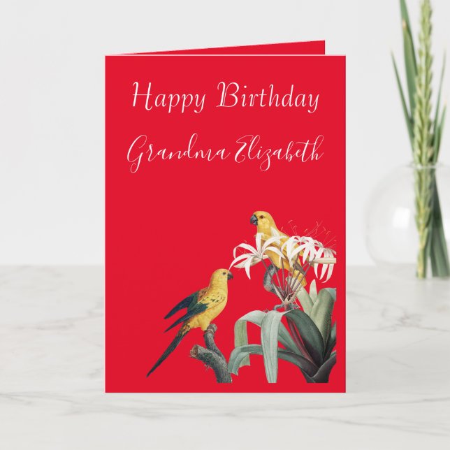 Tarjeta Feliz cumpleaños Abuela Parrots (Anverso)